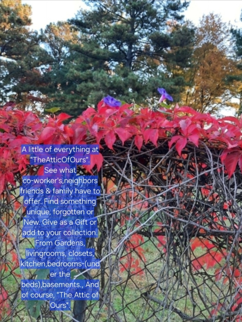 A little of everything at "TheAtticOfOurs".